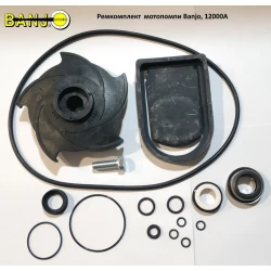 Ремкомплект мотопомпі Banjo 2“, 12000A