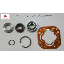 Ремкомплект гідромотора Massey ferguson, 700731929