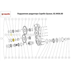 Подшипник редуктора Capello Quasar, 02.4436.00 Подшипник редуктора Capello Quasar, 02.4436.00