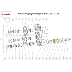 Подшипник редуктора Capello Quasar, 02.4443.00