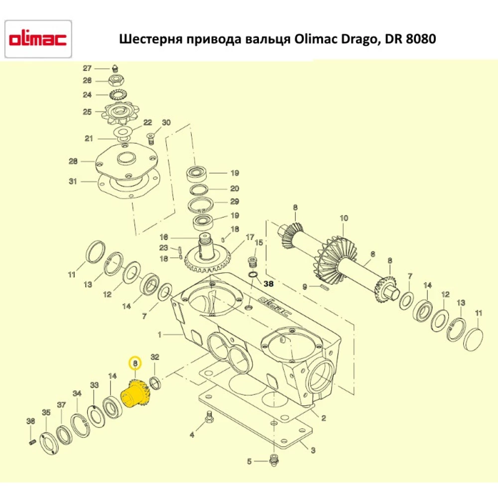 Шестерня привода вальця Olimac Drago DR 8080