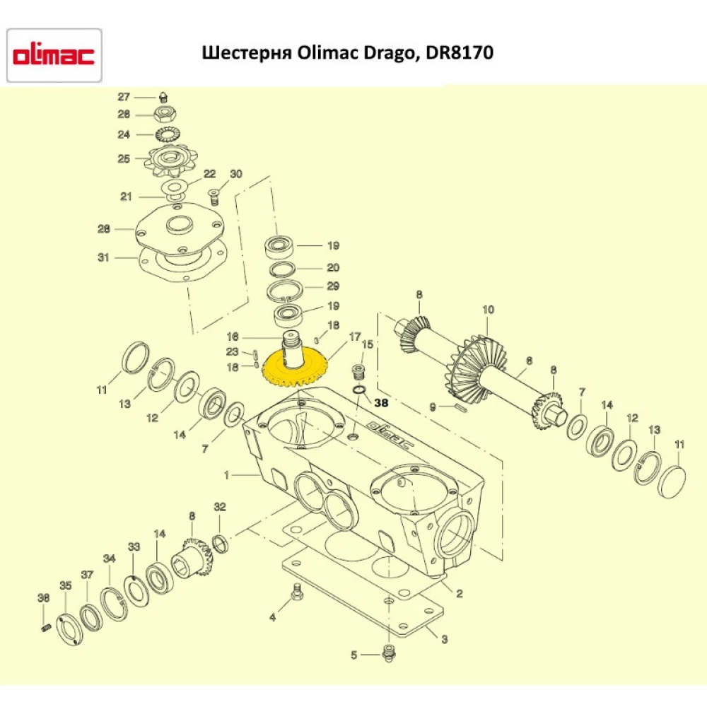 Шестірня Olimac Drago, DR8170