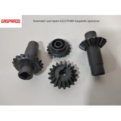 Комплект шестерен z-18 G22270389 Gaspardo