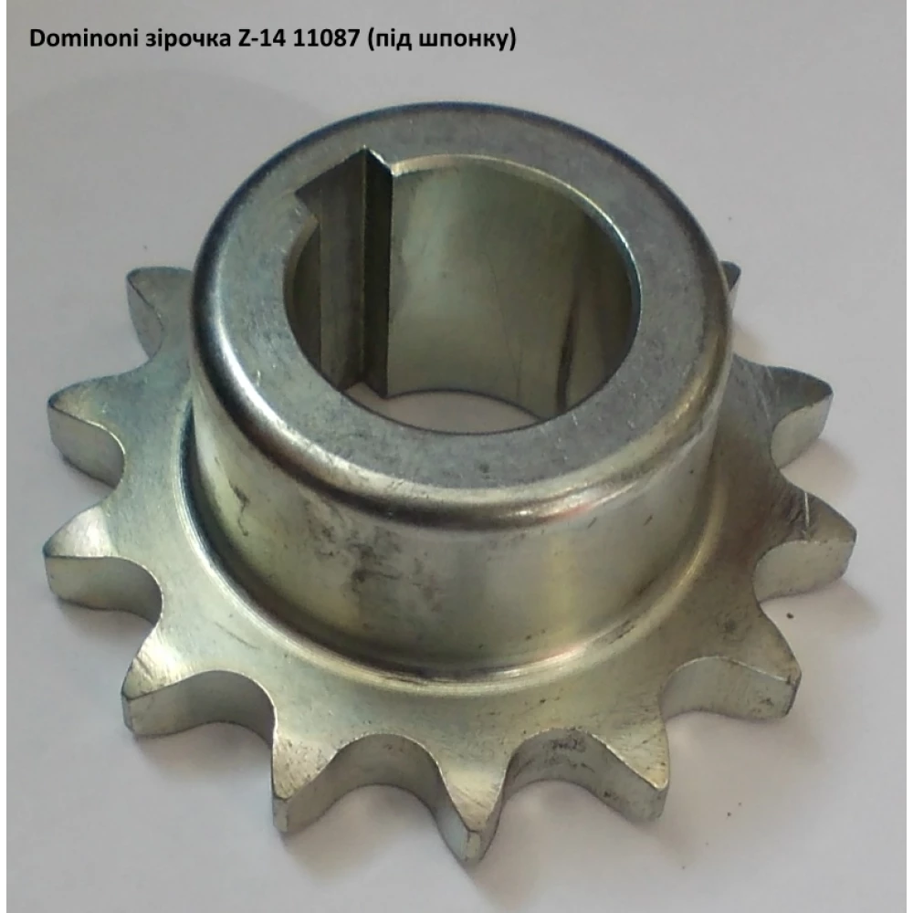 Зірочка з“єднувальна Z-14 Dominoni (під шпонку), 11087
