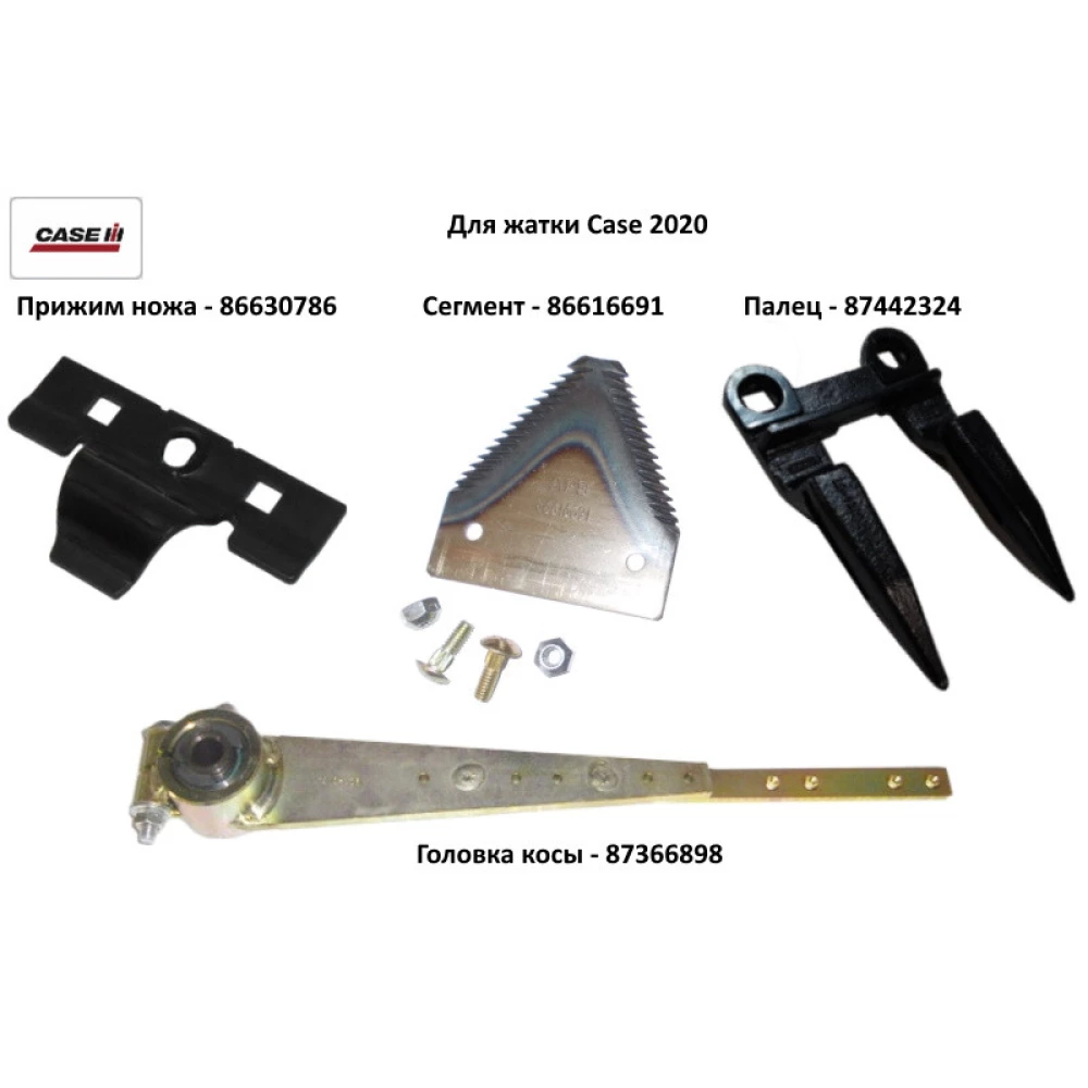 Сегмент Case 2020 86616691