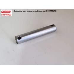 Вал редуктора G22270452 Gaspardo G22270452