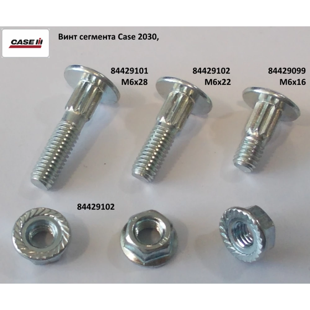 Болт сегмента Case 2030, М6х22