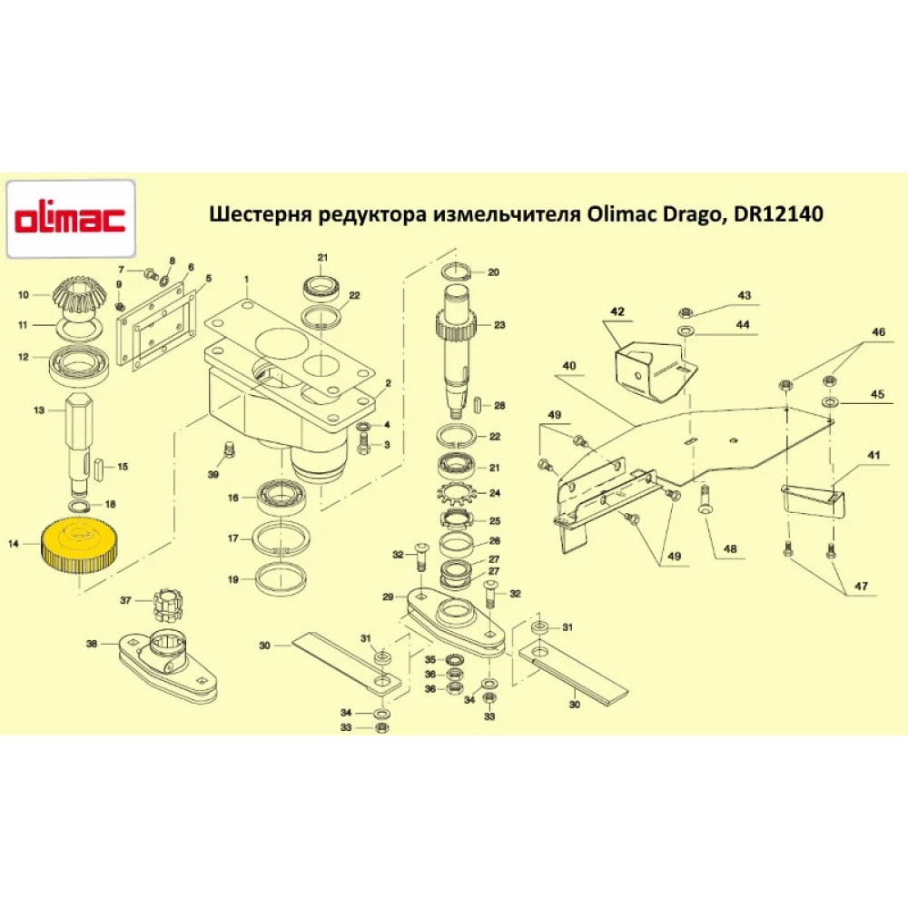 Шестірня циліндрична редуктора подрібнювача Olimac Drago, DR12140