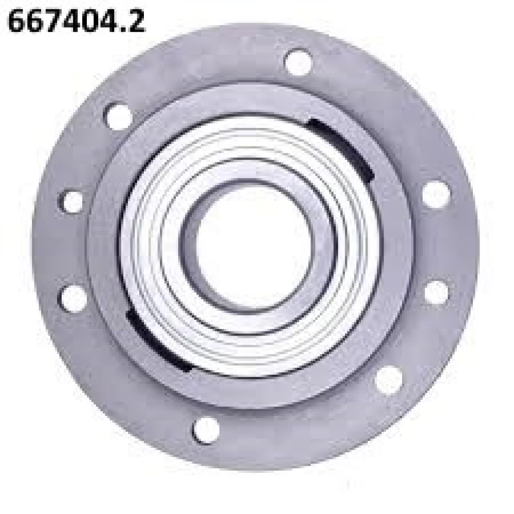 667404.2 корпус із підшипником Claas ALPHA-PARTS