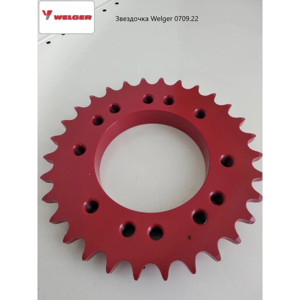 Звездочка d-100мм Z-30 сцепления Welger AP41,AP45  0709.22