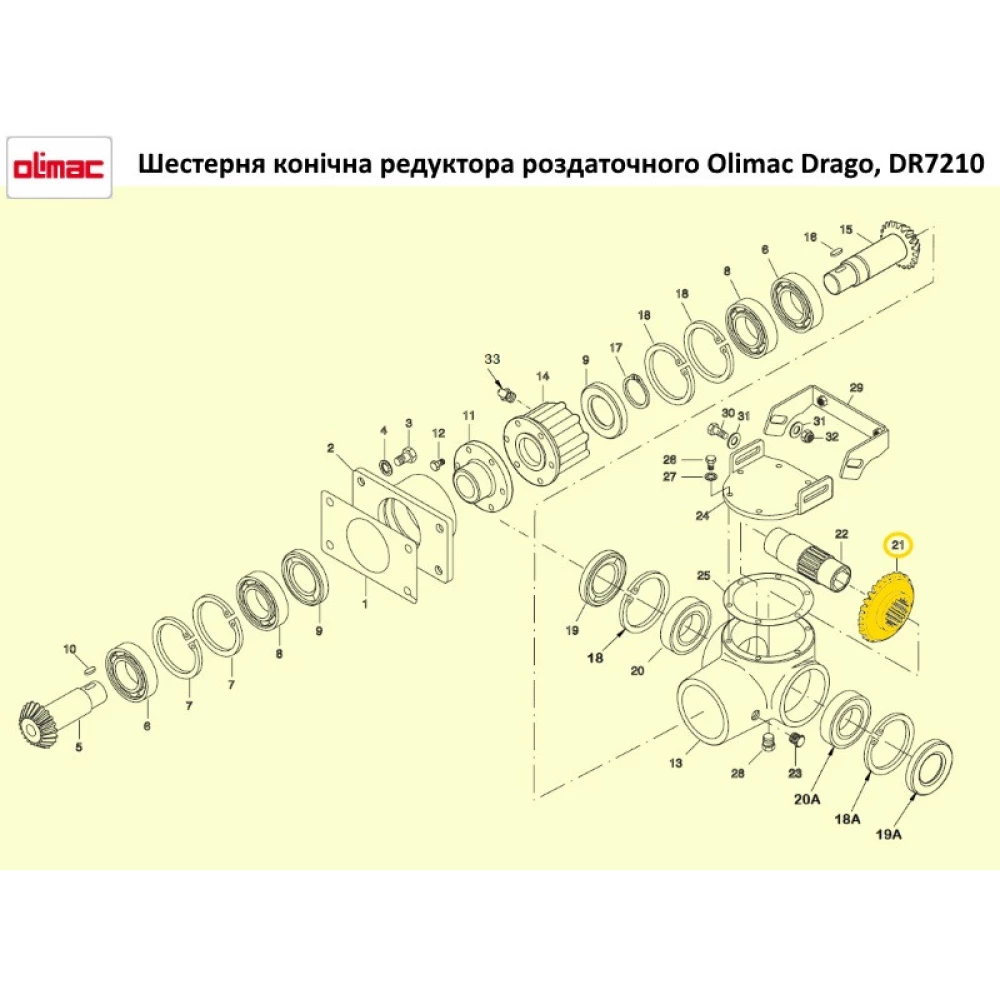Шестірня конічна редуктора Olimac DR7210