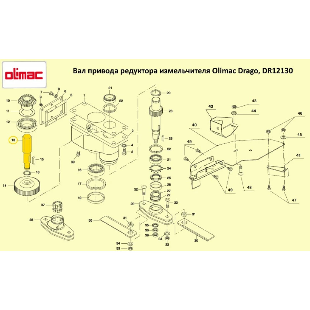 Вал приводу редуктора подрібнювача Olimac Drago, DR12130