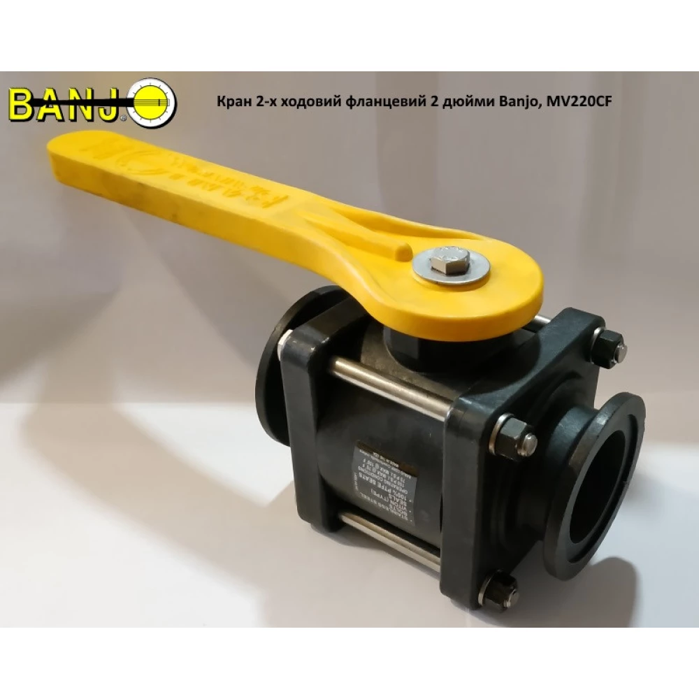 Кран 2-х ходовой фланцевый 2 дюйма Banjo, MV220CF