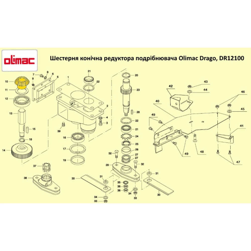 Шестірня конічна редуктора подрібнювача Olimac Drago, DR12100