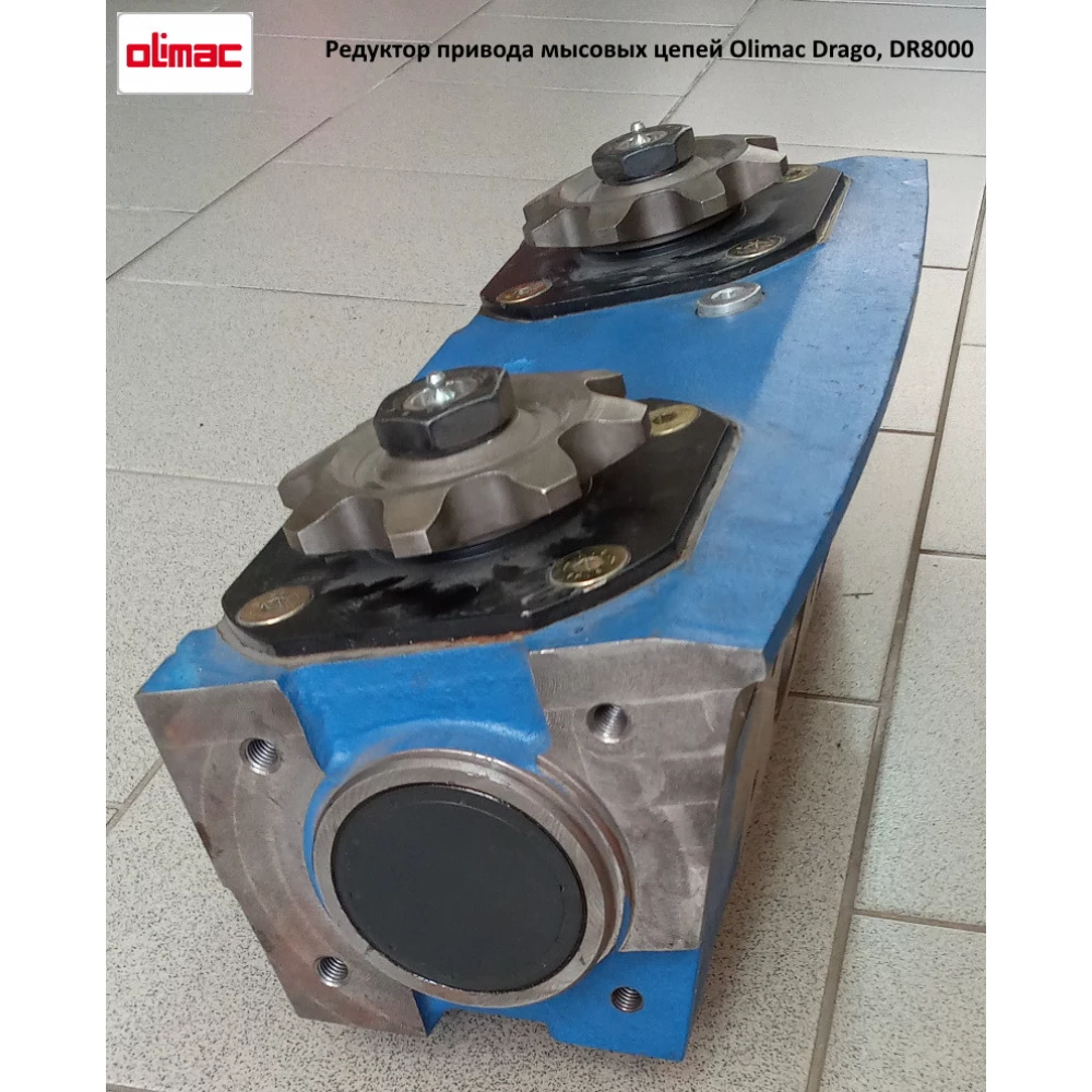 Редуктор привода мисових ланцюгів на кукурудзяну жатку Olimac Drago, DR8000