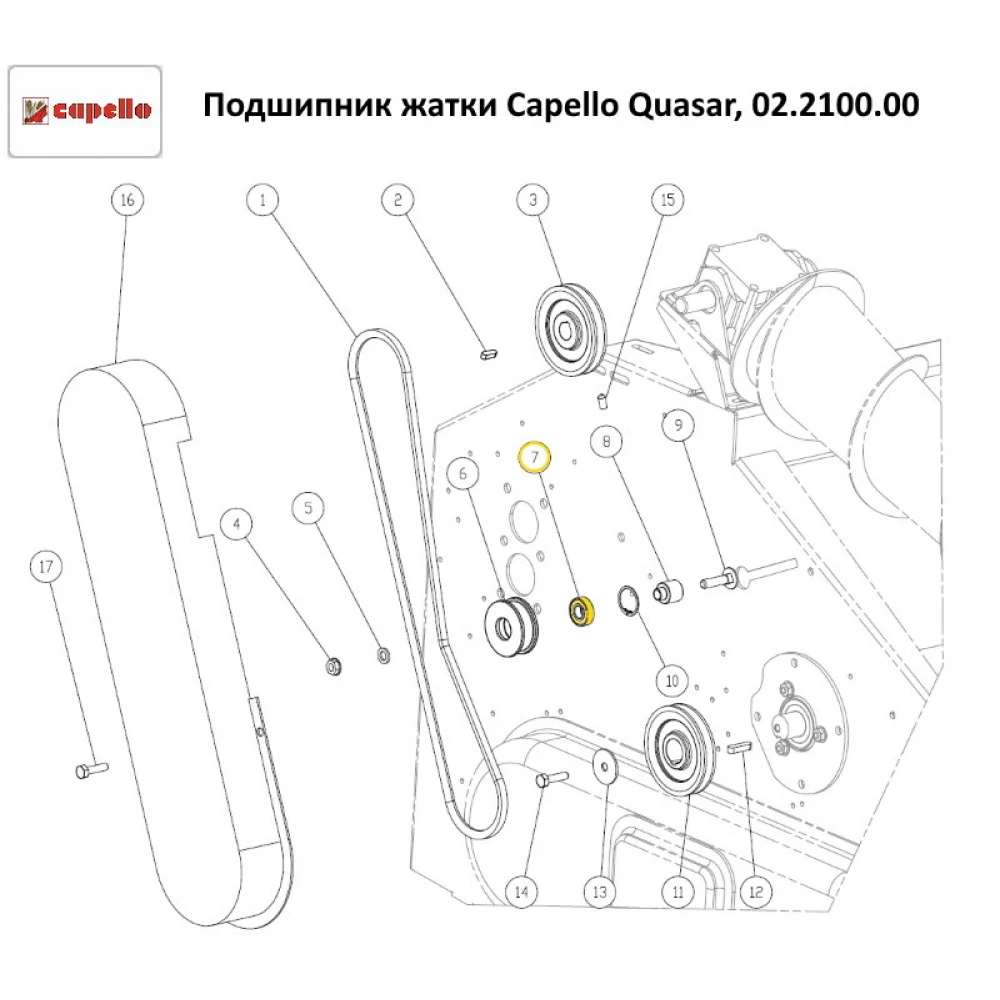 Підшипник жатки Capello Quasar, 02.2100.00 PEER