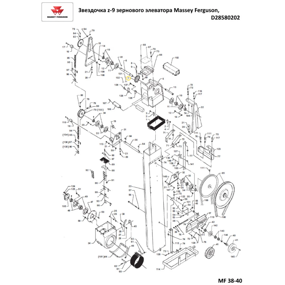Зірочка z-9 колосового елеватора Massey Ferguson, D28580448