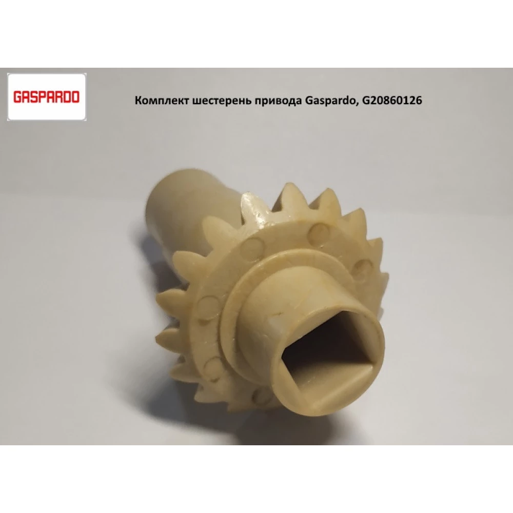 Комплект шестерен z-18 G22270389 Gaspardo